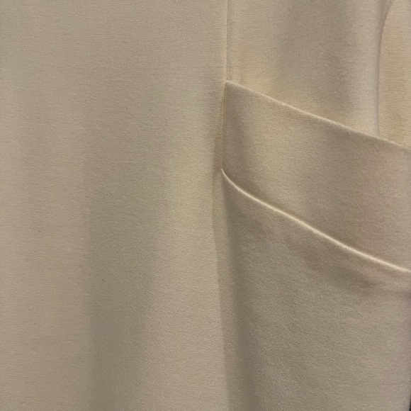 Size 12 Vintage inspired dress. Rose lapel and pockets on each hip. Zipper back - Picture 5 of 5